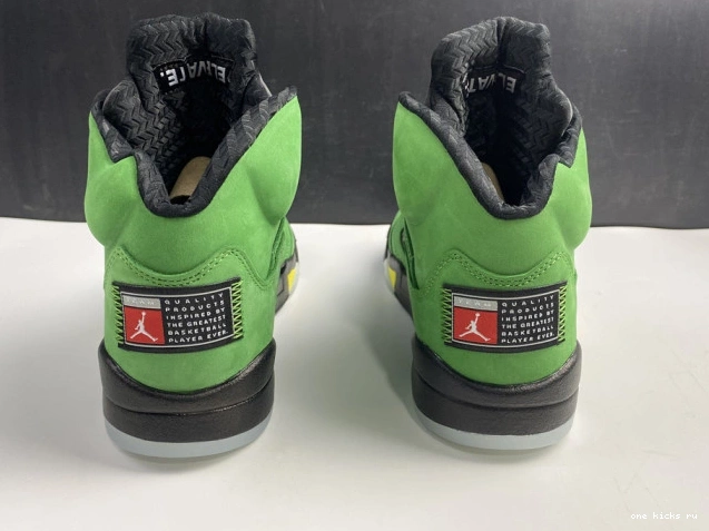 Rep SE Oregon 5 CK6631-307 Air Jordan Ducks 0818